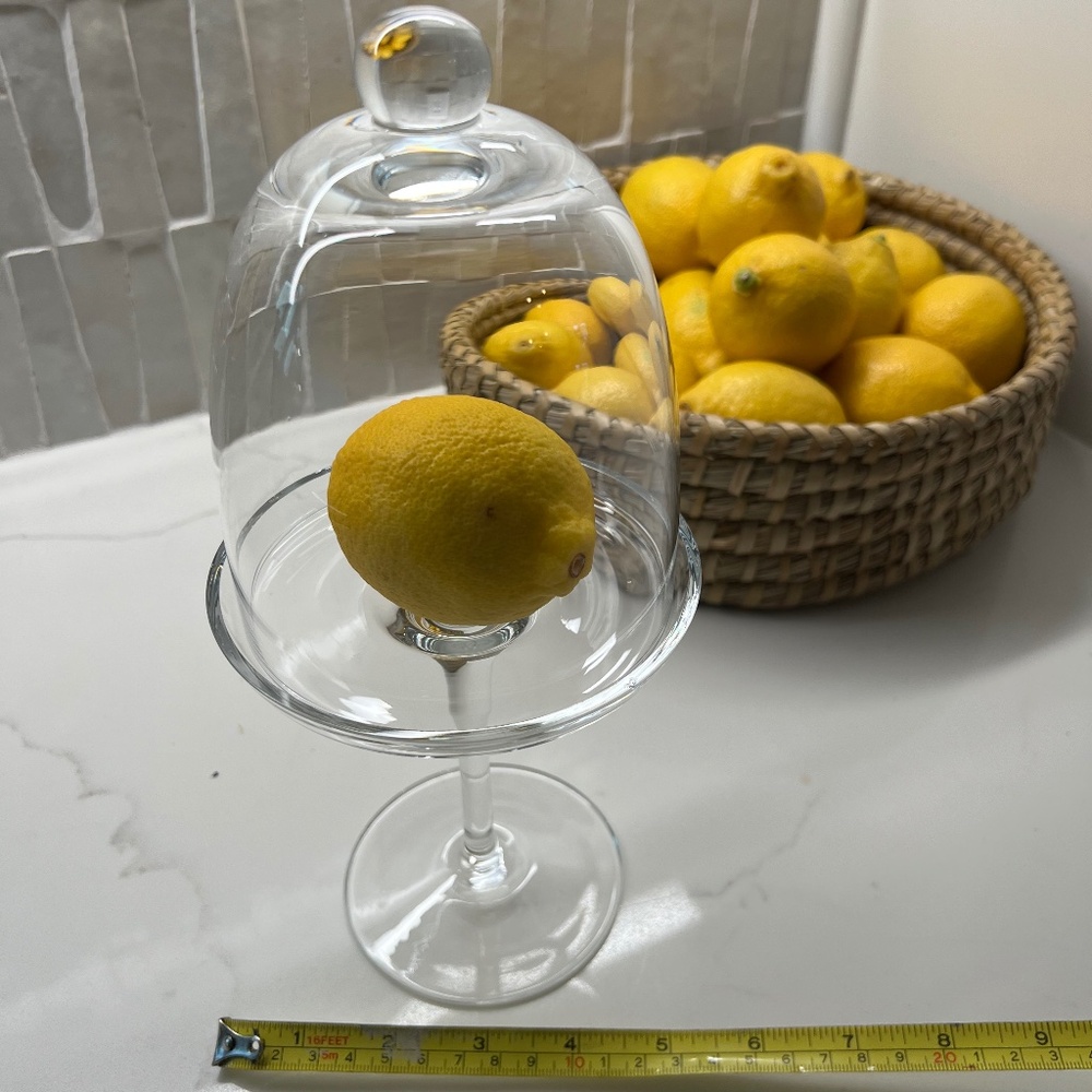 Set of 5 Stand & Dome Displays